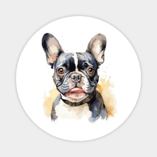 watercolor of a french bulldog Magnet